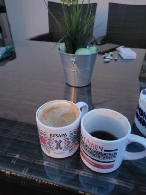 Review by Nikolina
